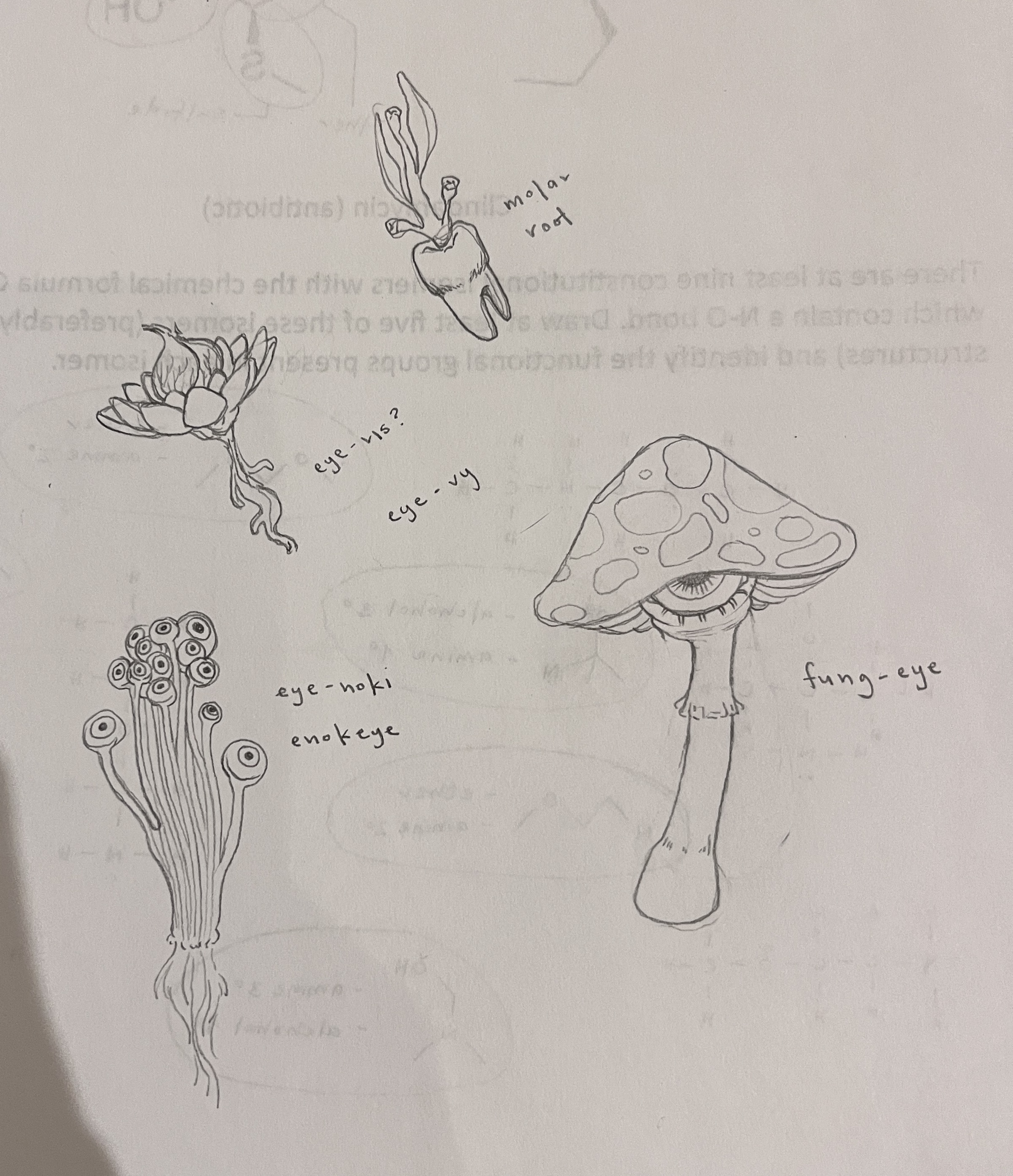 Concept art of various eye-related plants